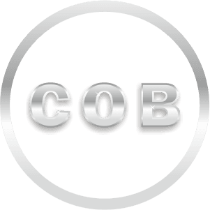 Call O Buzz Services